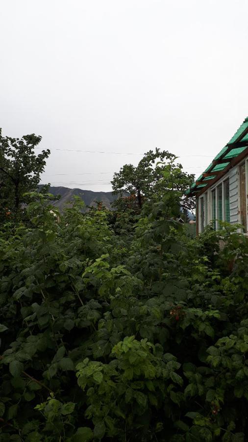 Nurgul Bokonbayevo Exterior foto